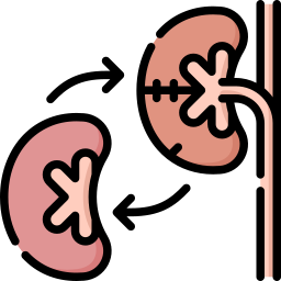 Renal-Dialysis-Transplant